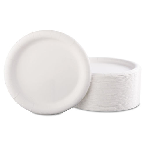 Solo 10 In. Heavy Duty Paper Plates 22 Pk.