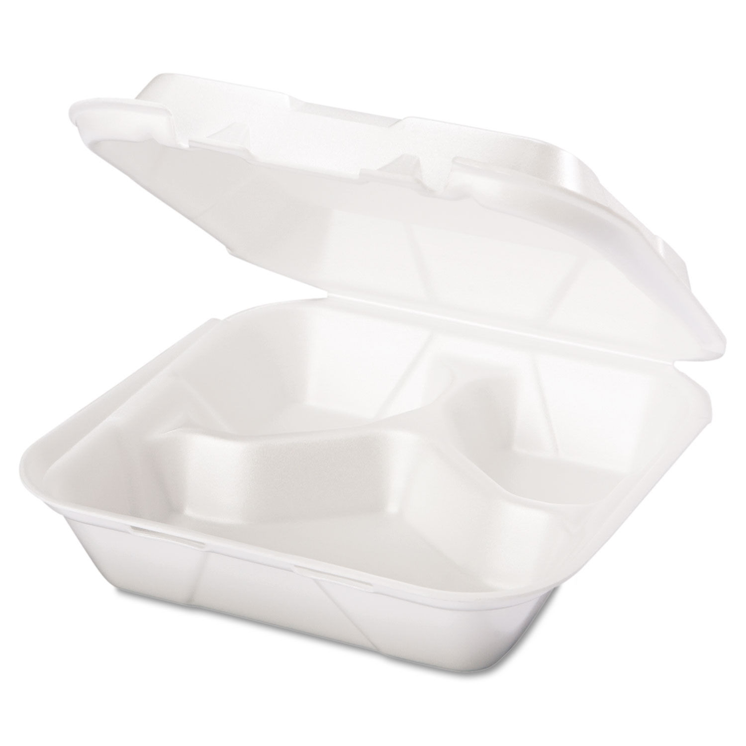 GENPAK SNAP IT TO GO CONTAINER FOAM SANDWICH - US Foods CHEF'STORE