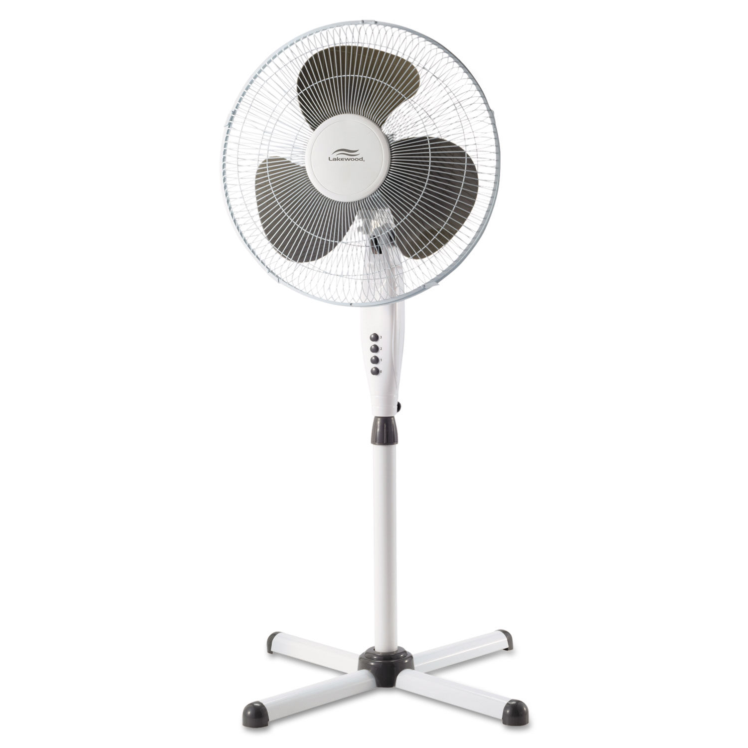 Пинауп fan