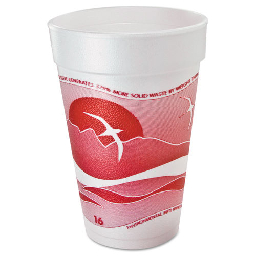 Dart Foam Drink Cups, 20 oz, 500/Carton