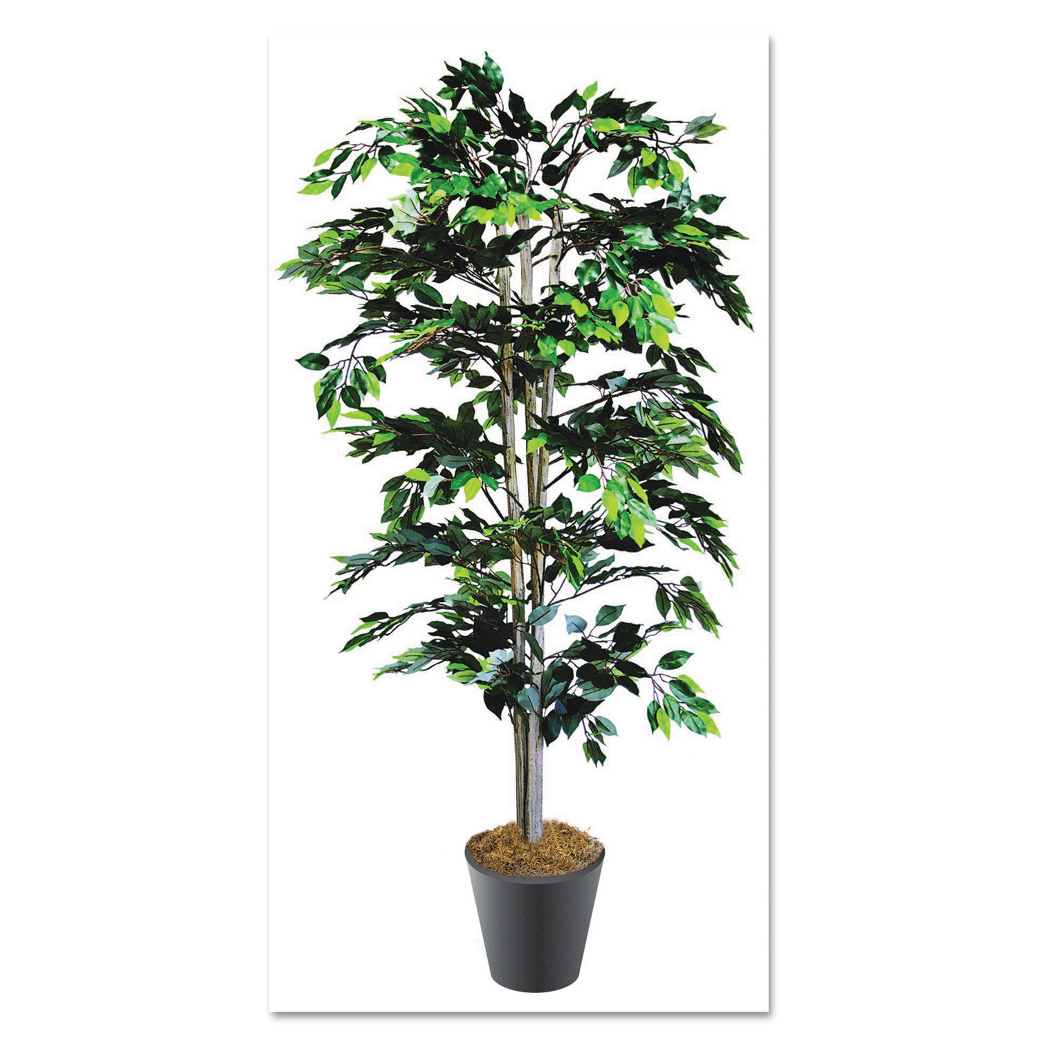 Artificial Ficus Tree with Planter by NuDell™ NUDT7781C