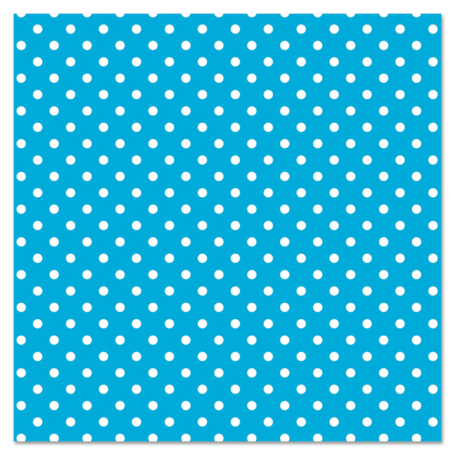 Fadeless Designs Bulletin Board Paper by Pacon® PAC0057425