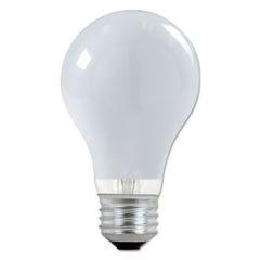 Light Bulbs Thumbnail