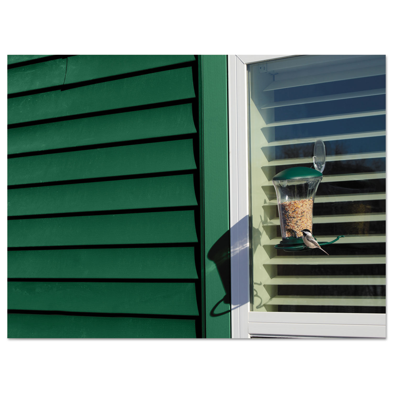 All Weather Hooks and Strips by Command™ MMM17093CLRAWES