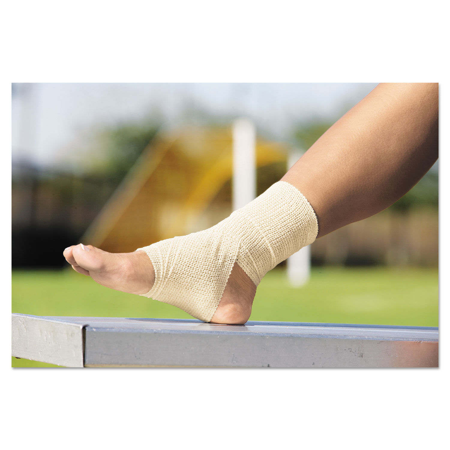 SelfAdhesive Bandage by ACE™ MMM207461