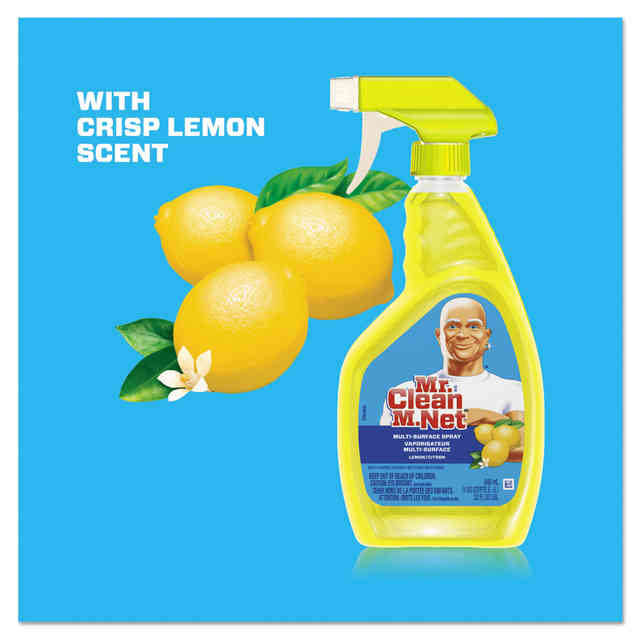 Multipurpose Cleaning Solution by Mr. Clean® PGC97337EA 