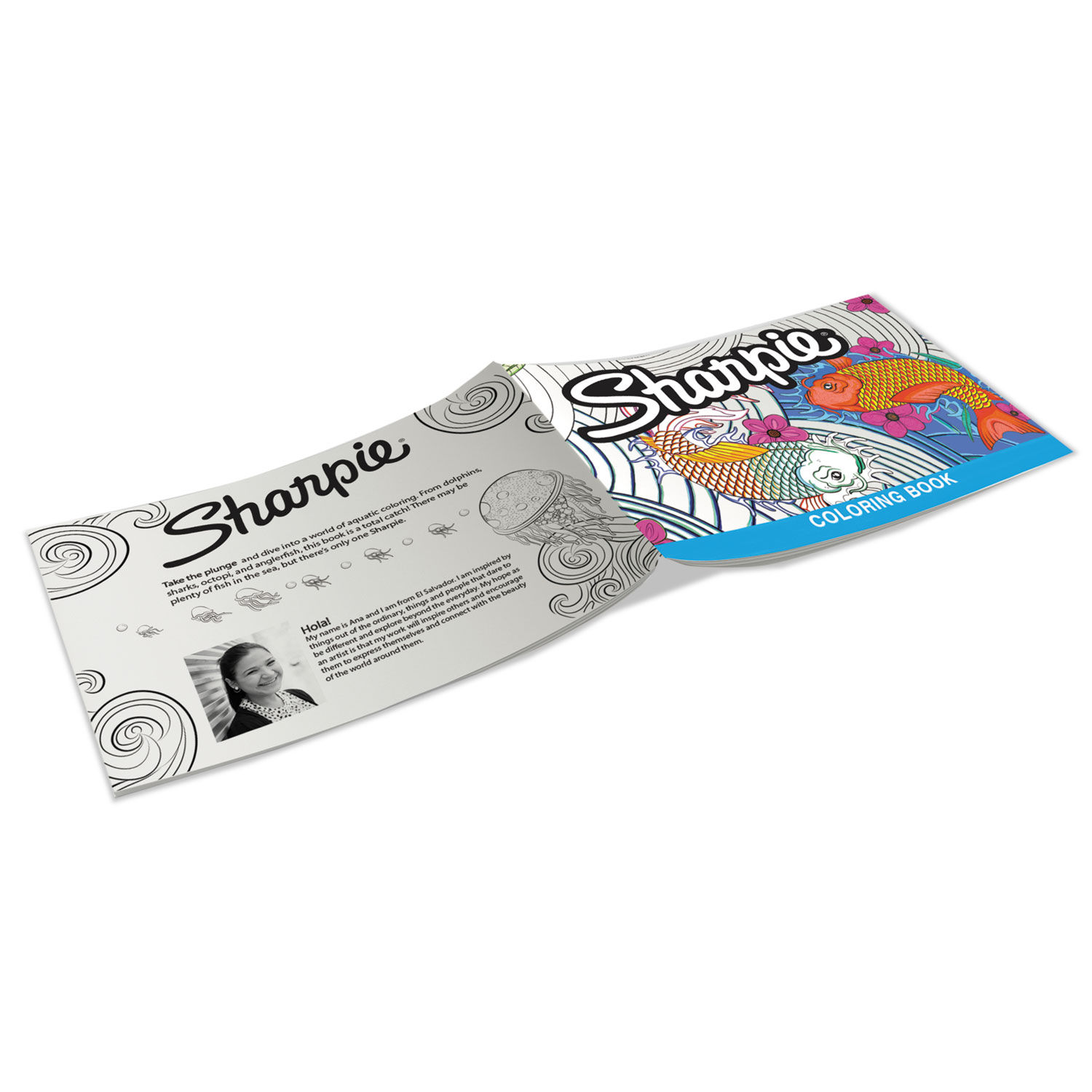 Download Adult Coloring Kit by Sharpie® SAN1989554 | OnTimeSupplies.com