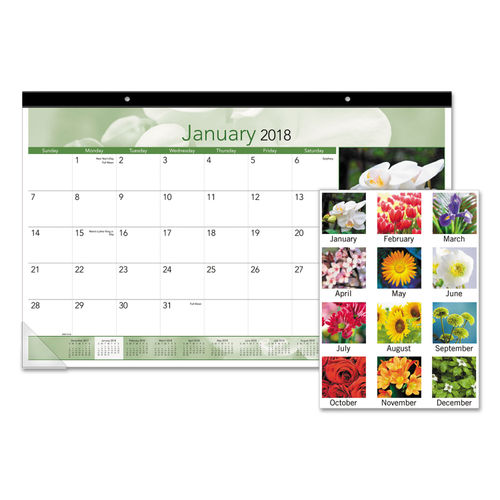 Floral Compact Monthly Desk Pad by ATAGLANCE® AAGDMD17632