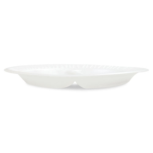 Mediumweight Foam Dinnerware, Plates, 9 inch Dia, White, 500/Carton