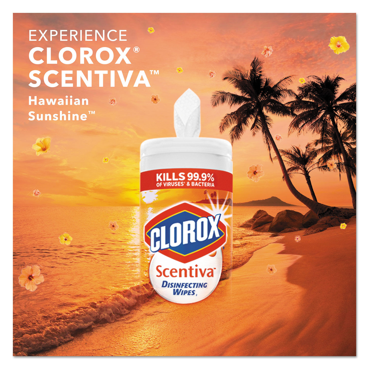 Scentiva Disinfecting Wipes by Clorox® CLO31632EA | OnTimeSupplies.com