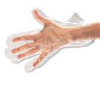 Boardwalk® Disposable Food Handling Gloves