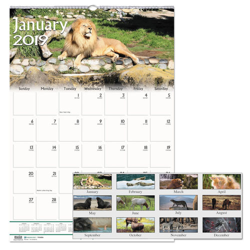 Recycled Wildlife Scenes Monthly Wall Calendar By House Of Doolittle Hod373 Ontimesupplies Com