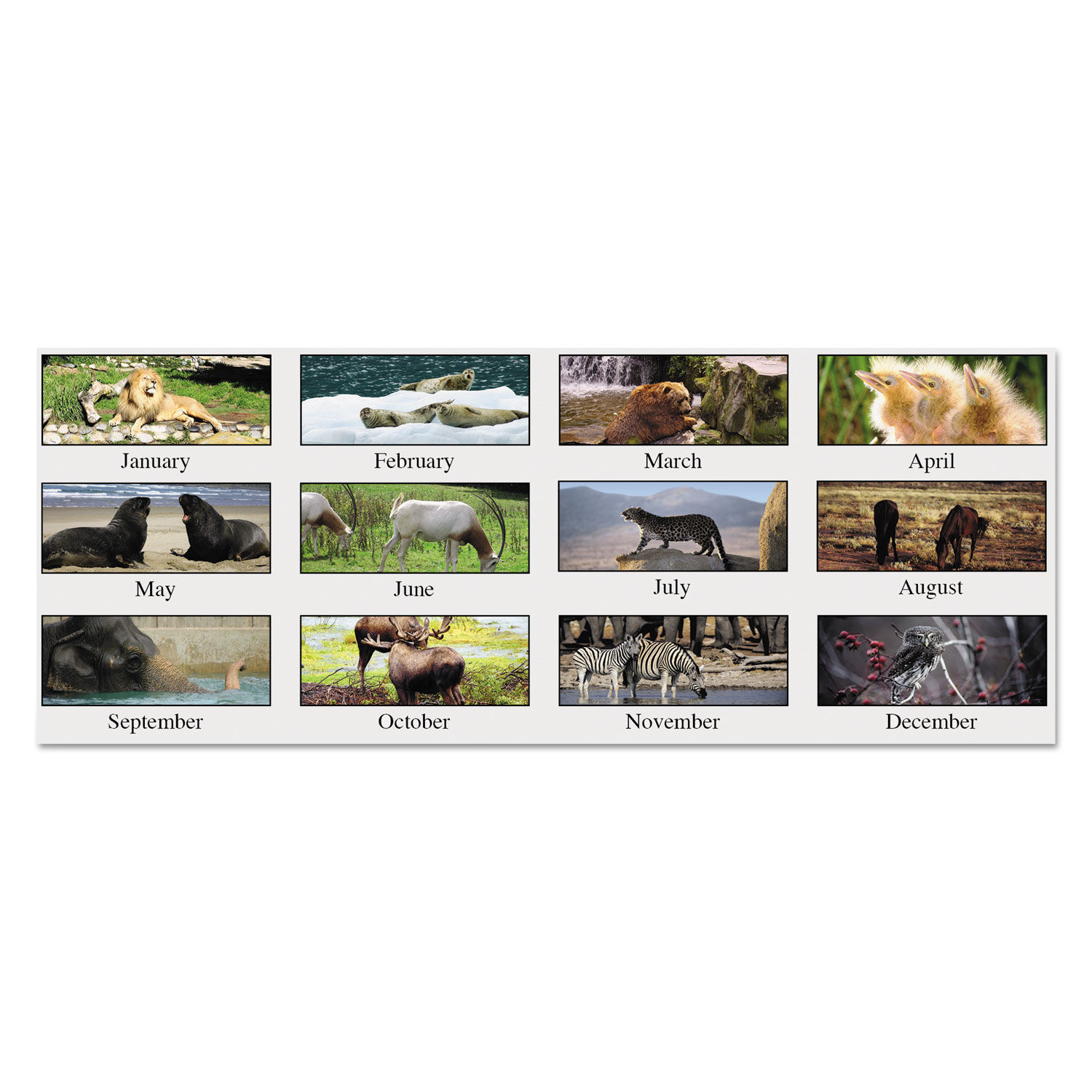 Recycled Wildlife Scenes Monthly Wall Calendar By House Of Doolittle Hod373 Ontimesupplies Com