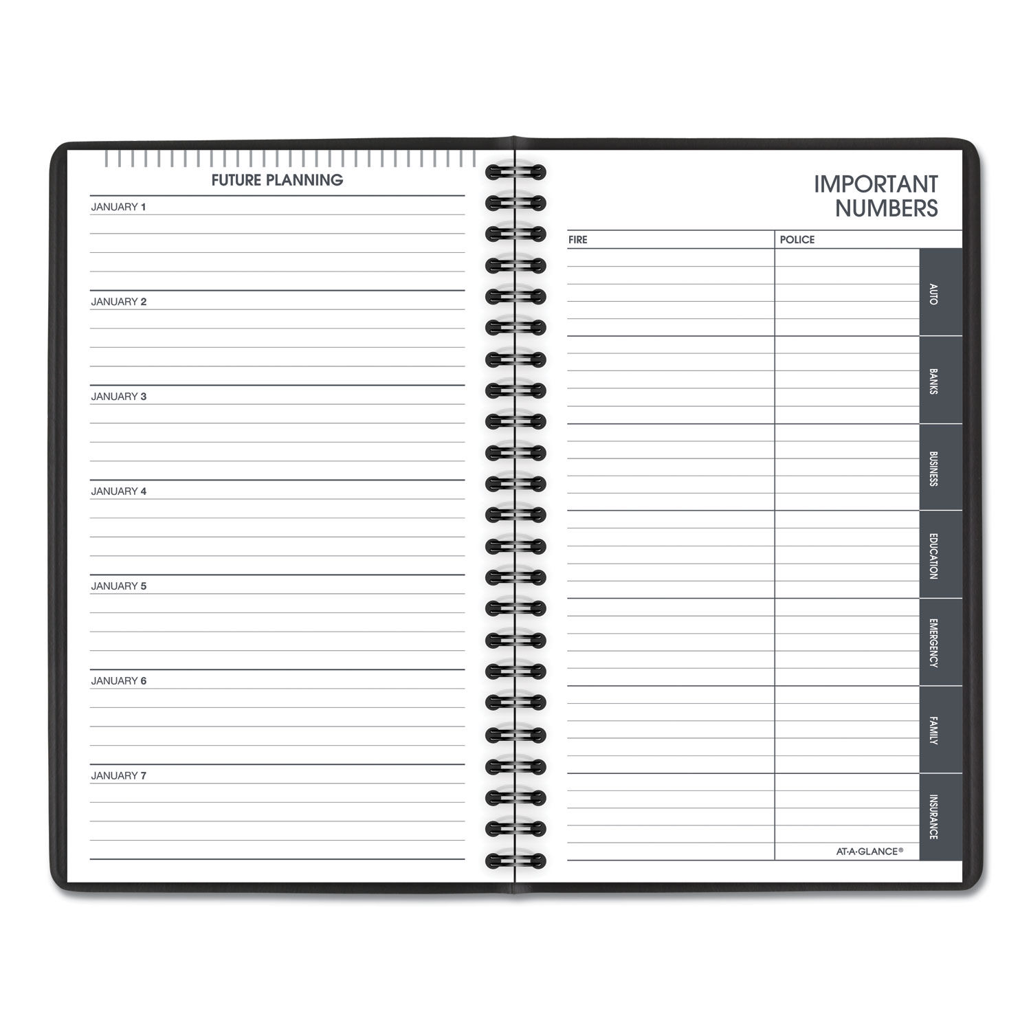 Daily Appointment Book with 15-Minute Appointments by AT-A-GLANCE ...