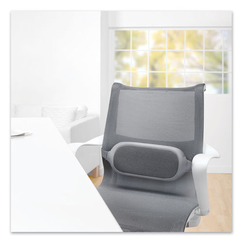 FELLOWES MANUFACTURING Fellowes Mfg. Co. Seat Cushion & Reviews