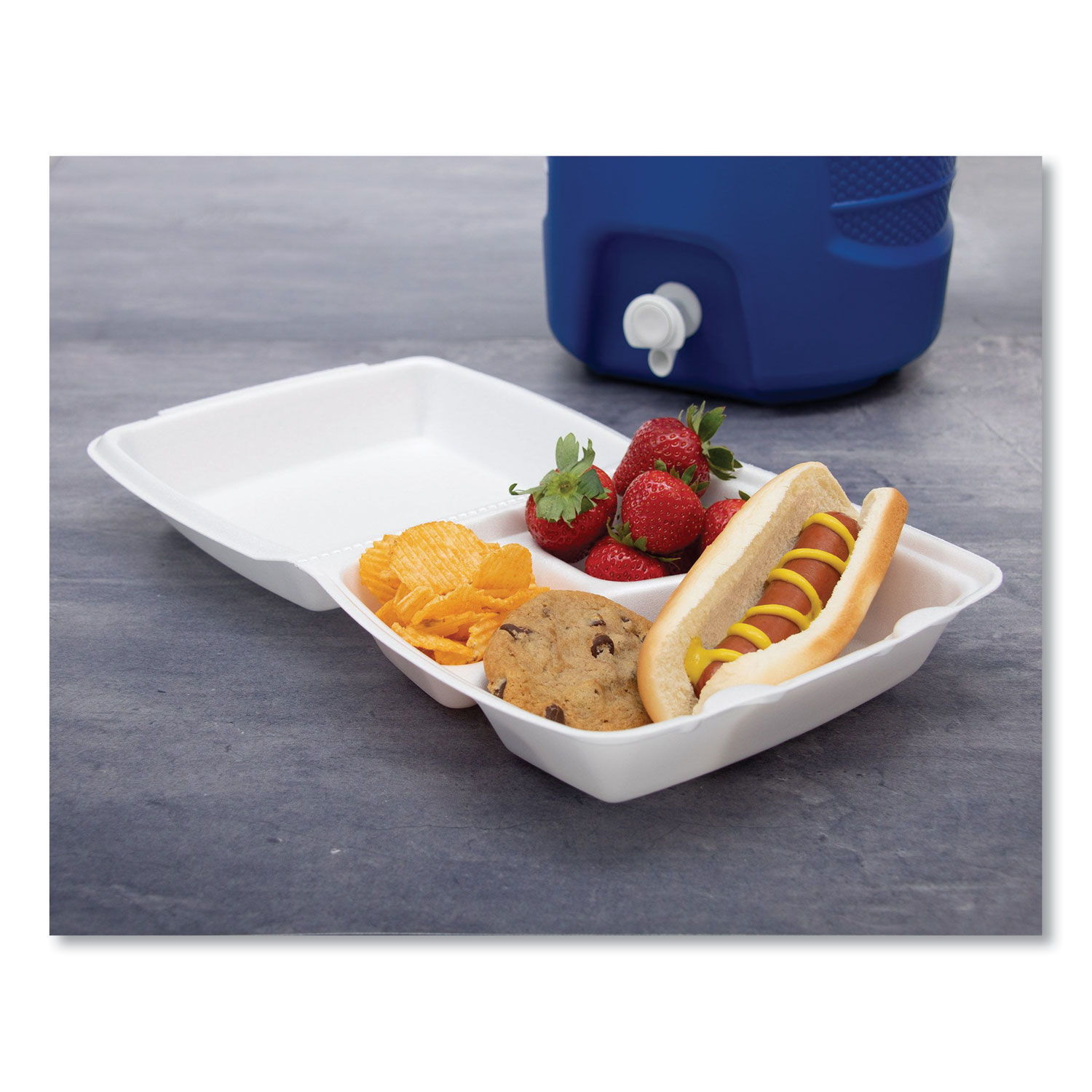 Dart Foam Hinged Lid Carryout Containers SKU#DCC60HT1