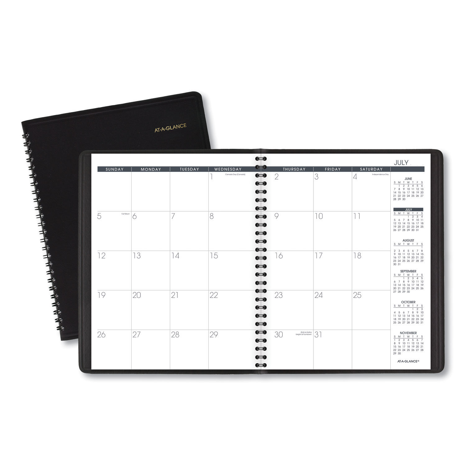 Monthly Planner by AT-A-GLANCE® AAG7012705 | OnTimeSupplies.com