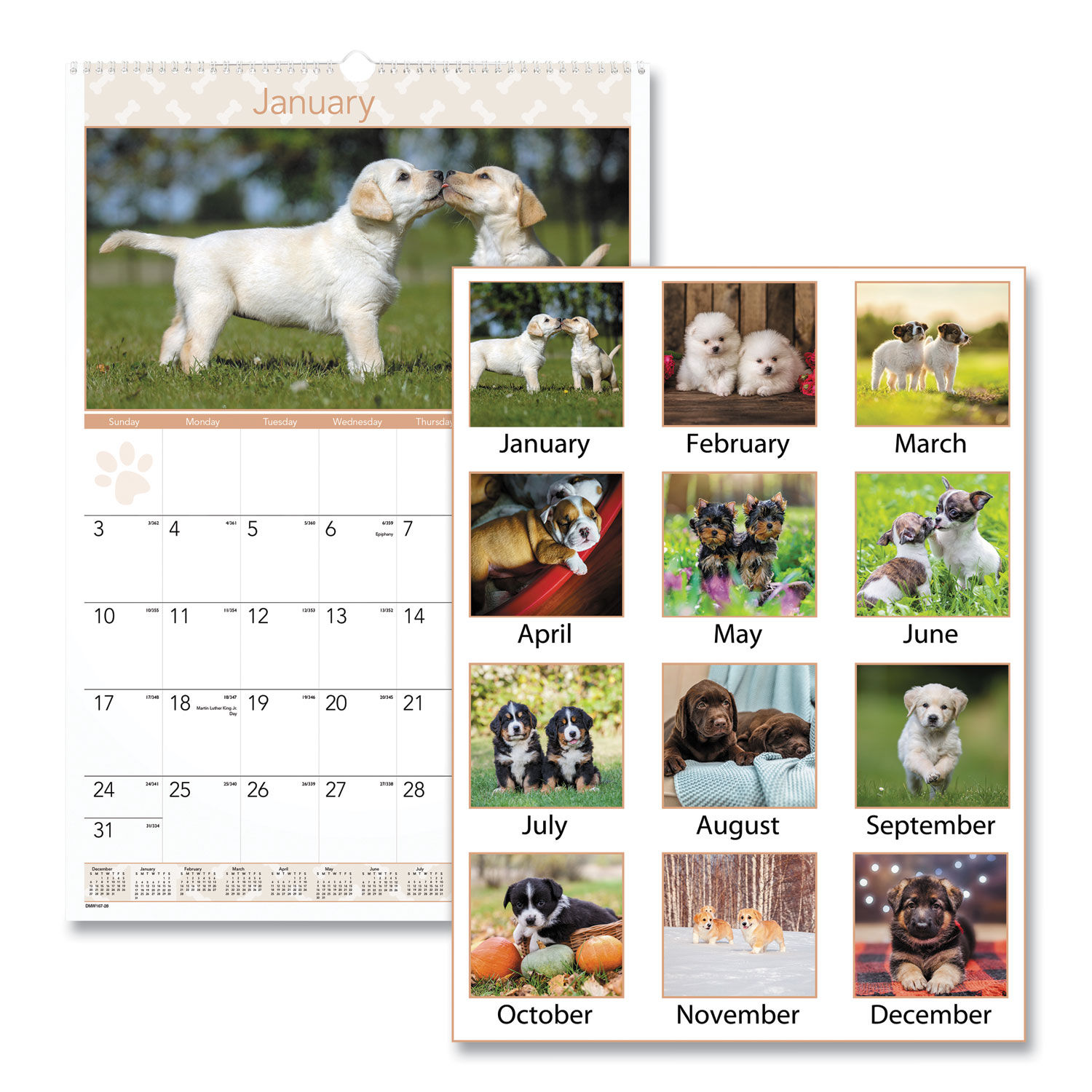 Puppies Monthly Wall Calendar by AT-A-GLANCE® AAGDMW16728 ...