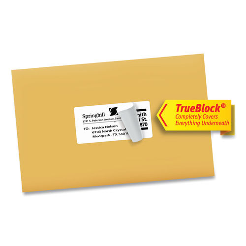 Shipping Labels w/ TrueBlock Technology by Avery® AVE18163 ...