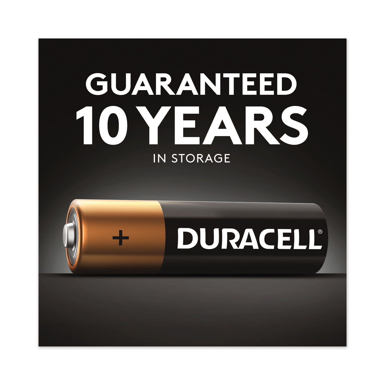 CopperTop Alkaline AA Batteries by Duracell® DURMN1500B24