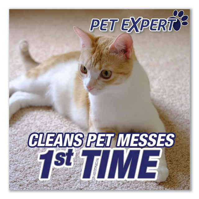 Pet Carpet Cleaner Moist Powder by RESOLVE® RAC82652