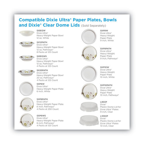 Dixie Paper Plates 9 in dia. White 4 Packs of 250 Plates Per Case - Office  Depot