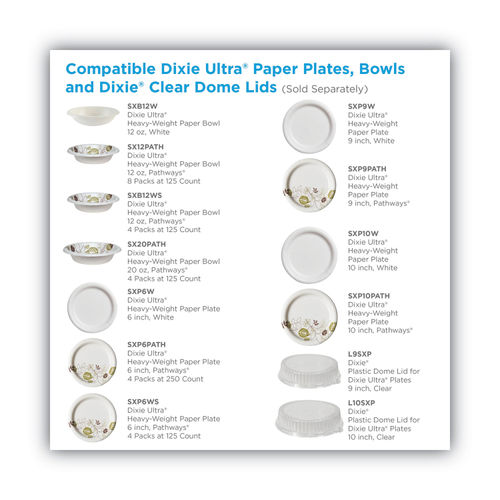 Dixie Ultra Paper Plates 10 18 Pathways Pack Of 125 Plates