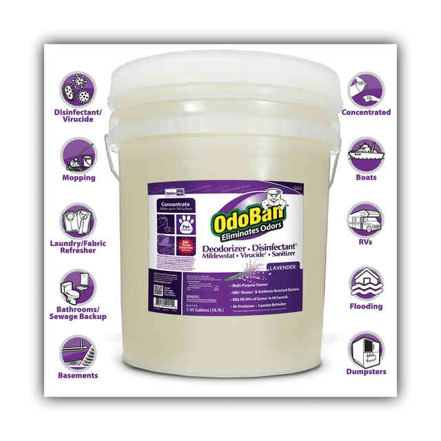 ODO9111625G Product Image 5