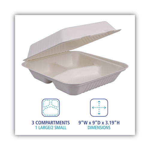 Large Bagasse Food Containers