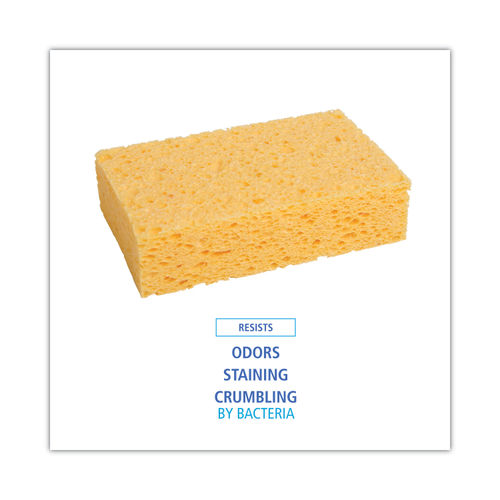 Large Cellulose Sponge, 4 3/10 x 7 4/5, Yellow, 24 per Case