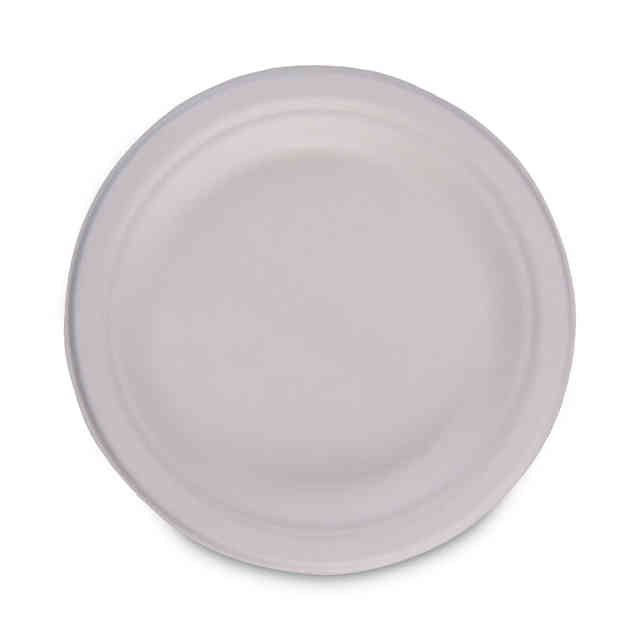 BWKPLATEWF6 Product Image 1