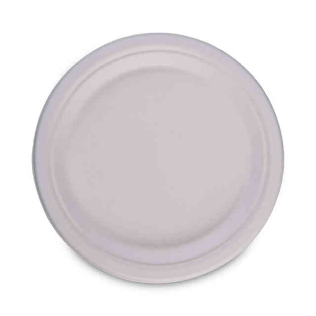 BWKPLATEWF9 Product Image 2