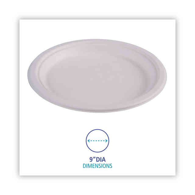 BWKPLATEWF9 Product Image 3