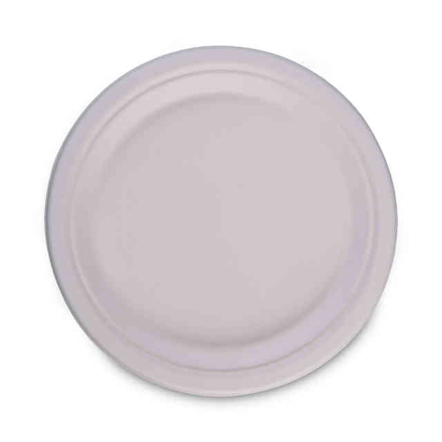 BWKPLATEWF10 Product Image 2