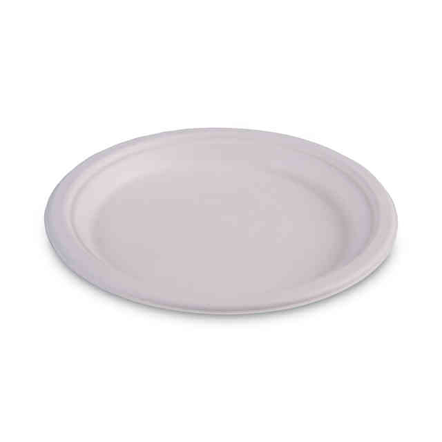 BWKPLATEWF10 Product Image 4