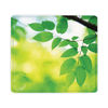 FEL5903801 - Recycled Mouse Pad, 9 x 8, Leaves Design