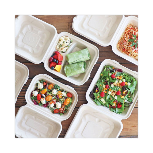 8 x 8 x 2 Recycled Plastic Hinged Lid 1 Compartment Takeout