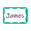 CLI92263 - Self-Adhesive Name Badges, 3.5 x 2.25, Green, 100/Box