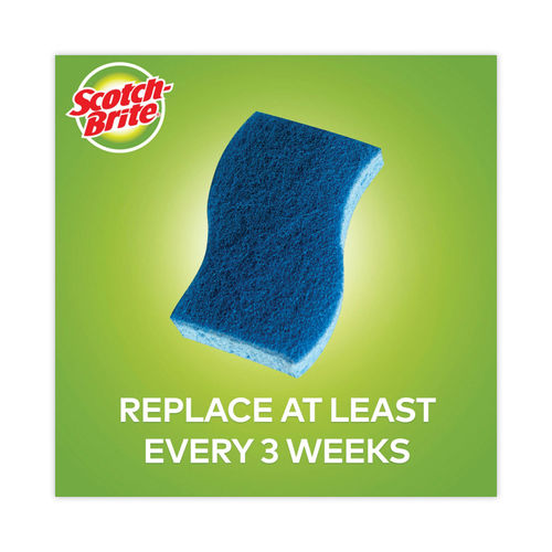 An All-Purpose Sponge That's Better Than Your Average Scotch-Brite