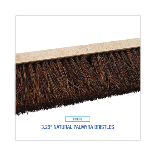 Pro Series Palmyra Brush Replacement Head