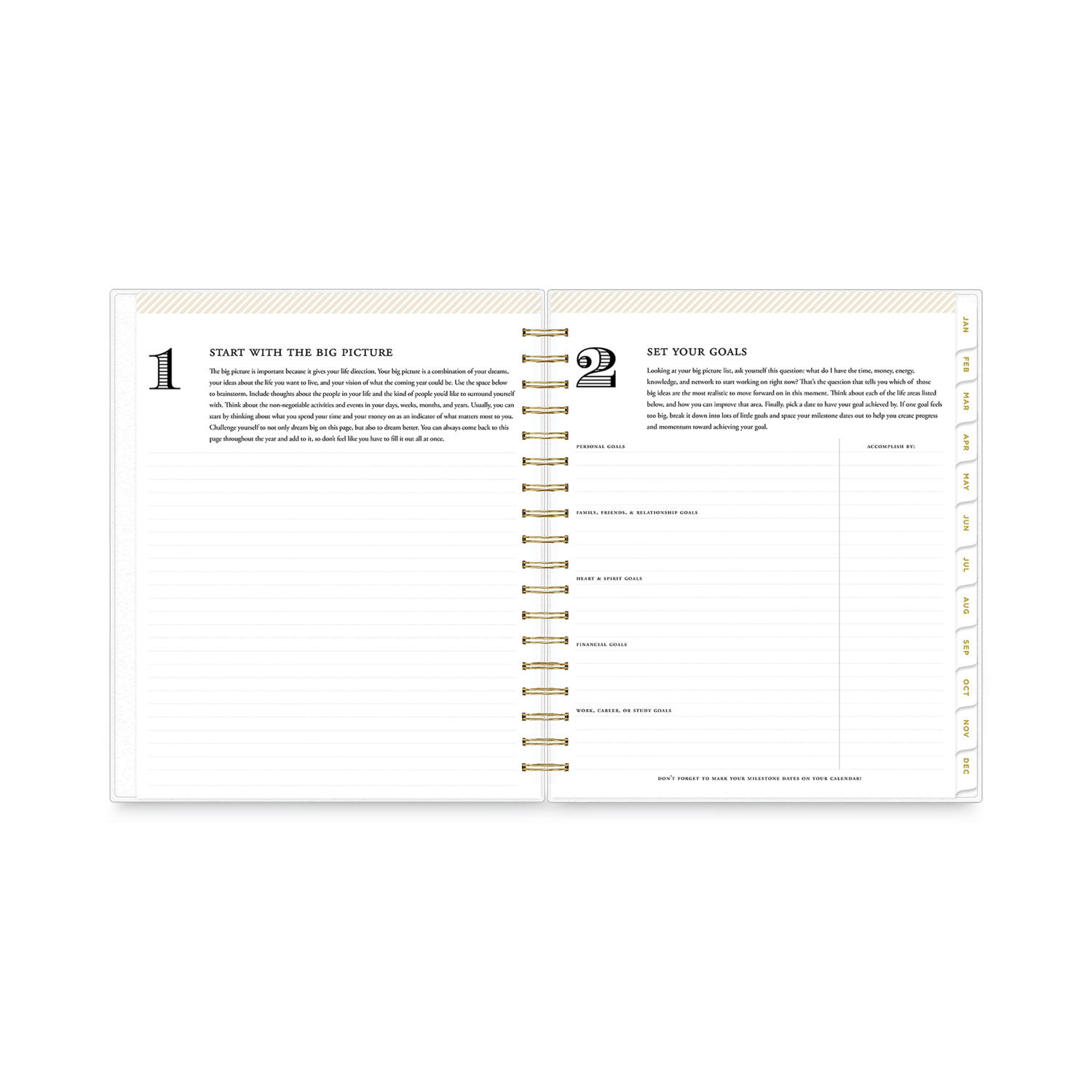 2024 Planner Refills - One Page per Day Daily & Monthly Planner, January 2024 -December 2024, Prioritized, To-Do List, Notes, Appointment Schedule