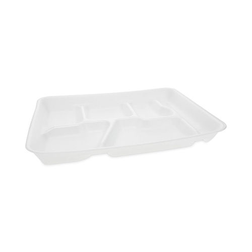 School Compartment Trays