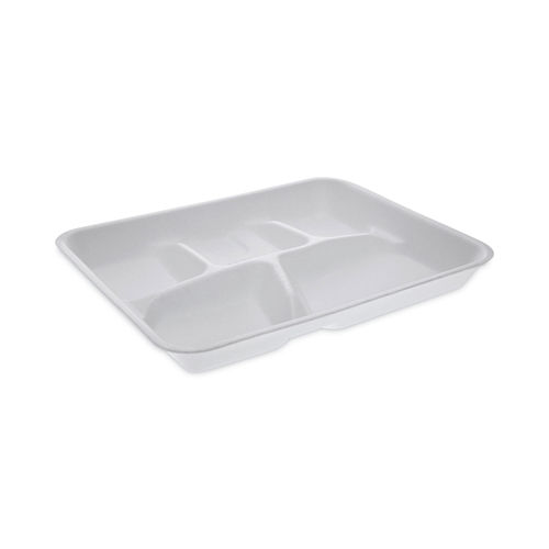 School Compartment Trays