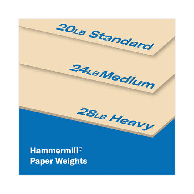 HAM102376 Product Image 8