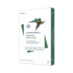 100 Sheets Transclucent Vellum Paper, 29 lb 110 GSM, Transparent