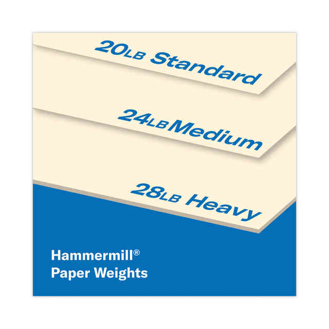 HAM103176 Product Image 8