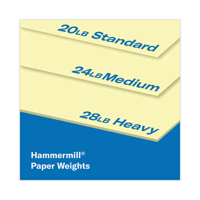 HAM103341 Product Image 8