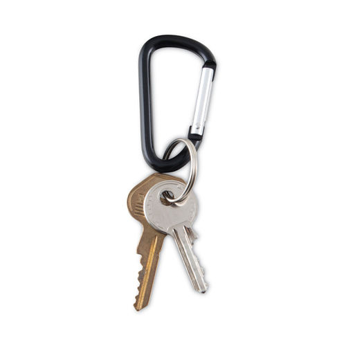 Carabiner for Keys. Key Chain with Ring Stock Photo - Image of