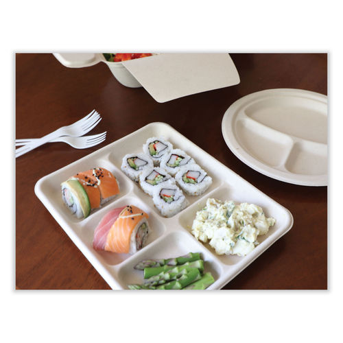 8.5 x 10.5 5-Compartment Biodegradable Lunch Trays, Sugarcane, Compostable