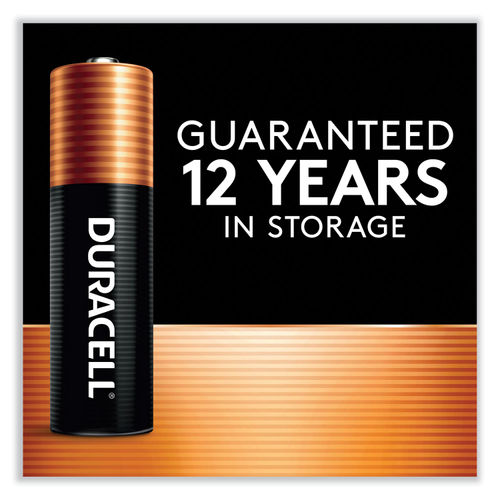 Duracell Coppertop AA Battery with POWER BOOST™, 8 Pack Long-Lasting  Batteries 